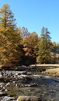 claree-hautes-vallee-nature