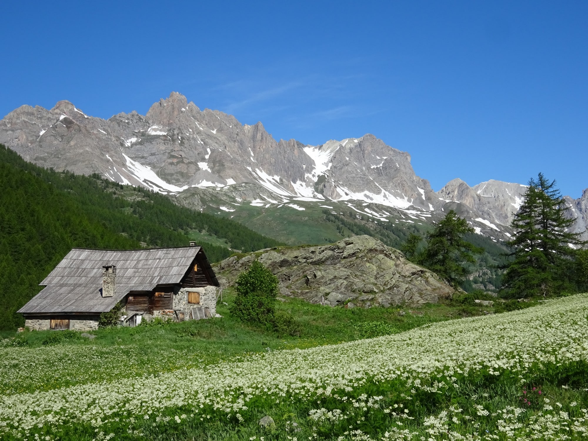 Transhumance Névache