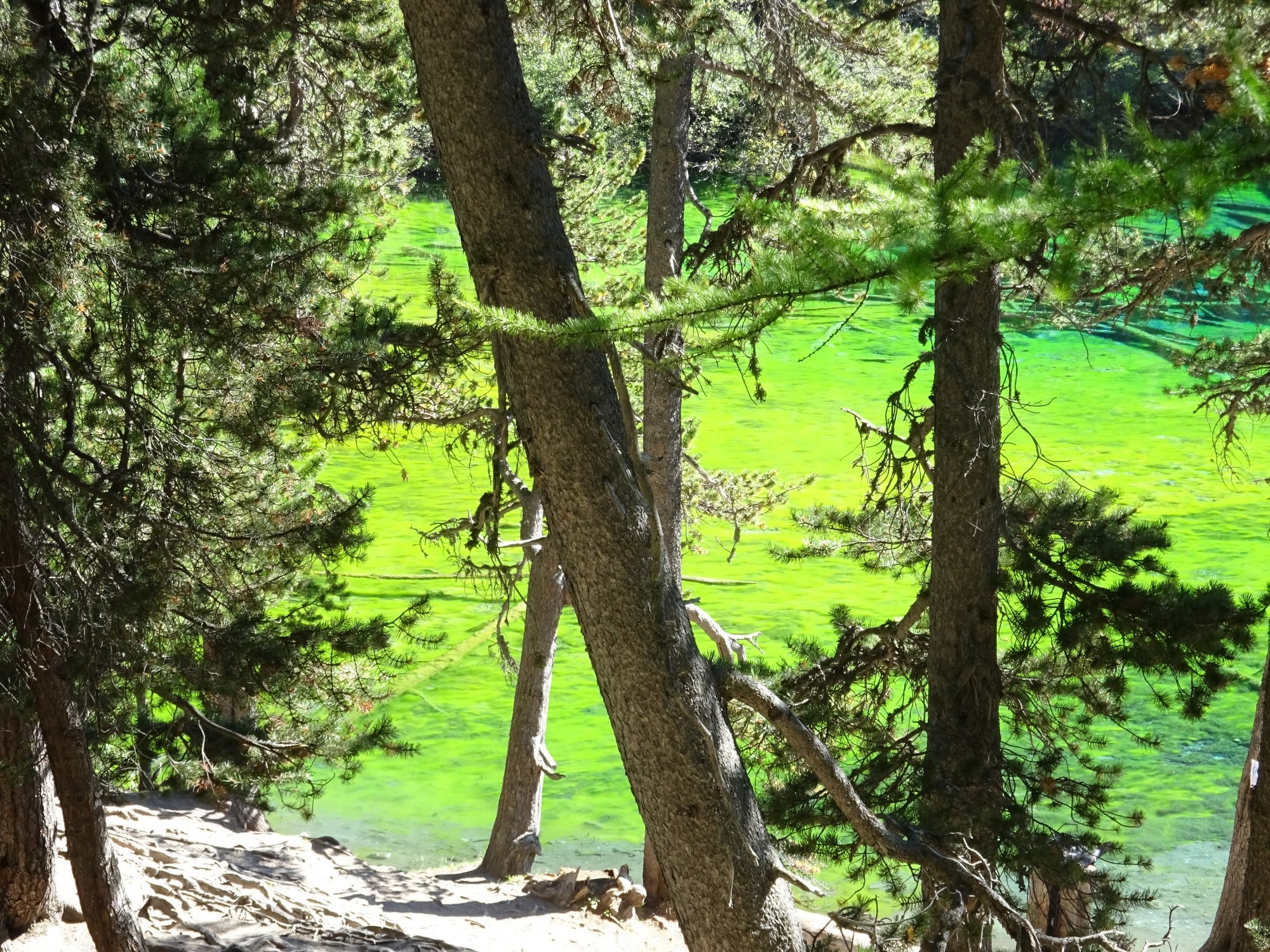 lac-laramon-rando-claree